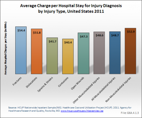 Average Charge per Hospital Stay for Injury Diagnosis by Injury Type, United States 2011 